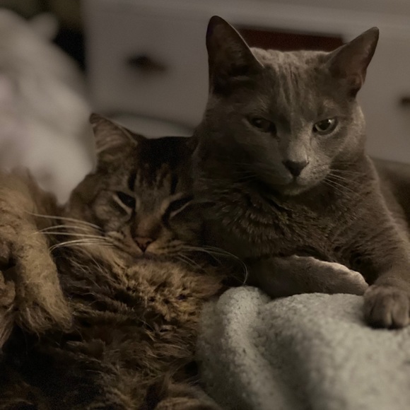 Meet the Posher - Picture 5 of 6